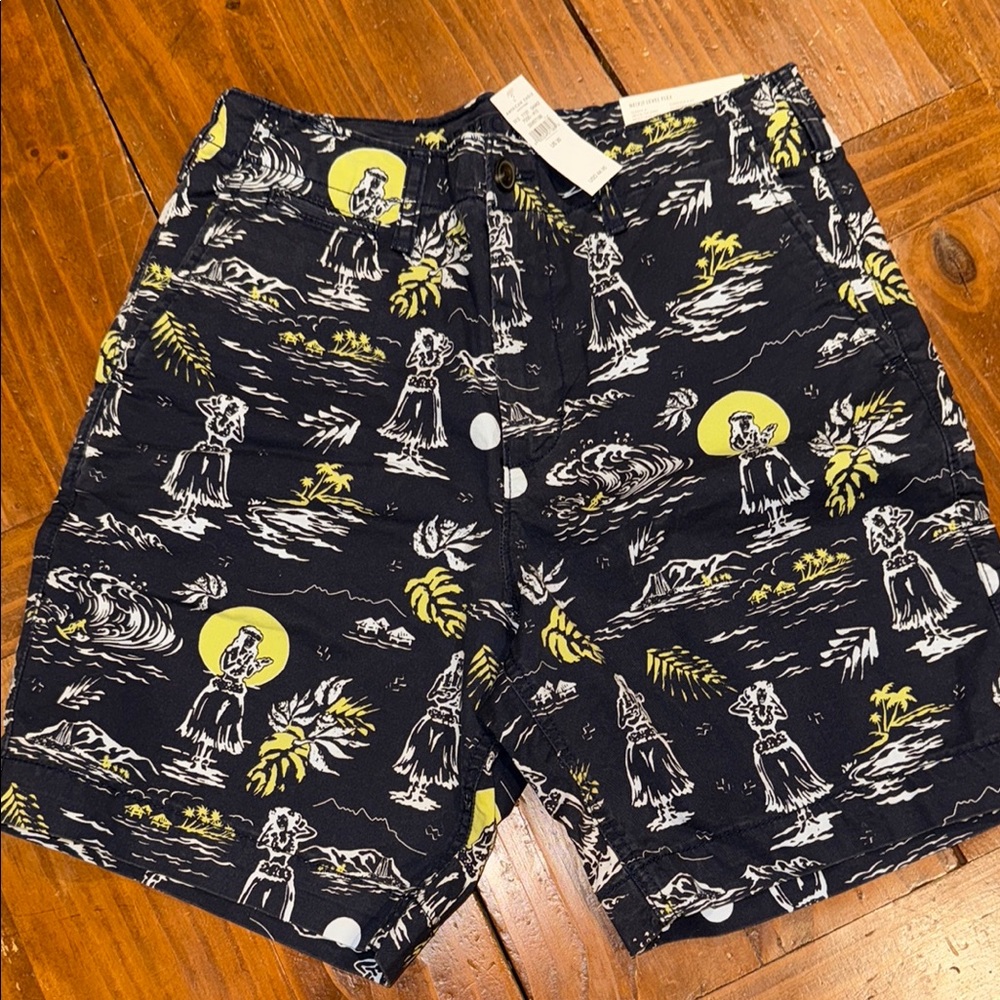 American Eagle Outfitters Flat Front Shorts